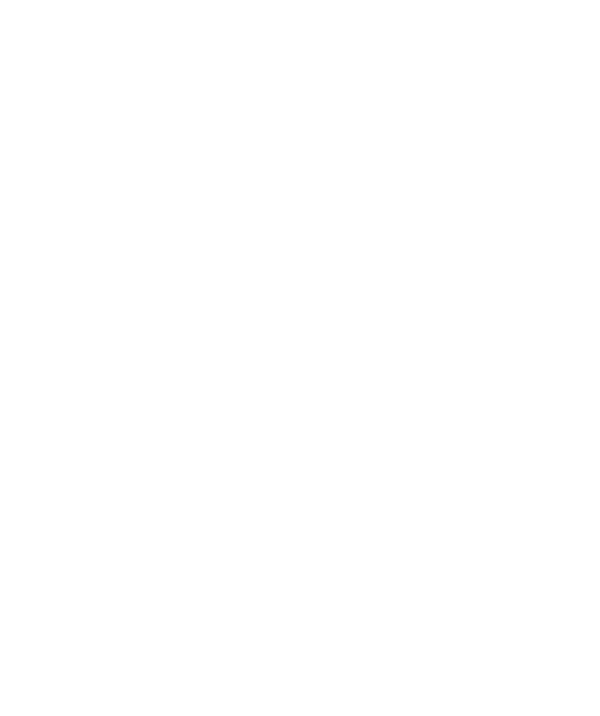 玛格极
